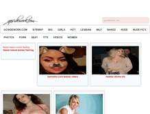 Tablet Screenshot of gosidework.com